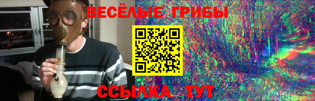 где купить наркоту  Галлюциногенные грибы MAGIC MUSHROOMS  Вход с VPN  Глазов 